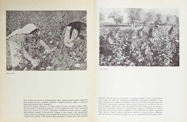 Хлопководство. [Фотоальбом] / Сост. Н.В. Калугин. М.: ОГИЗ «Сельхозгиз», 1940.